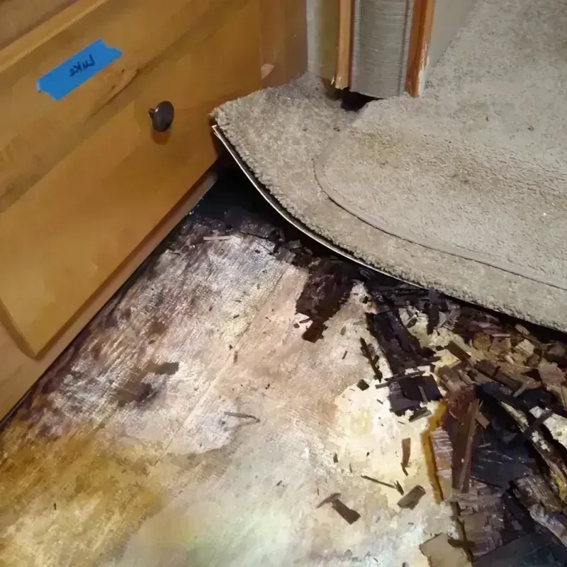 Wood Floor Water Damage in Pembroke, VA